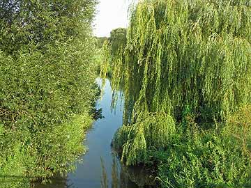 Schunter – Blick flussaufwärts Richtung Braunschweig