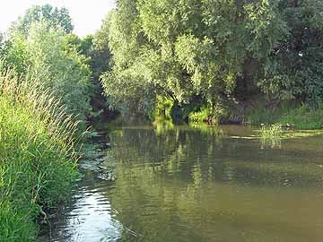 Oker – unterhalb Schütztafelwehr Schunterstraße