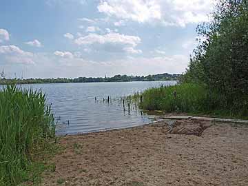 Trammer See – Blick vom Westufer