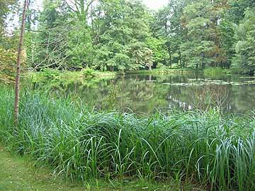 Schloßteich Lübbenau