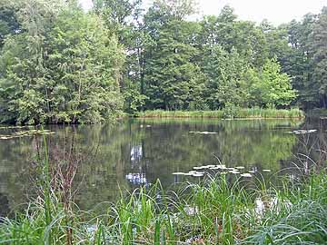 Schloßteich Lübbenau