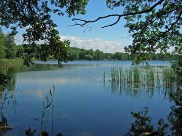 Kellersee – Blick vom Westufer des Kellersees