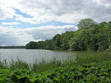 Kleiner Eutiner See – Blick in den nordöstlichen Seebereich