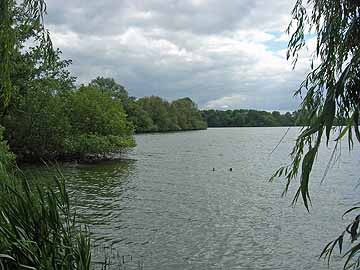 Kleiner Eutiner See – Blick in den südlichen Seebereich