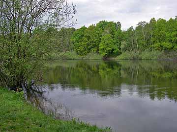 Irmerteich