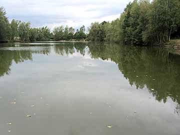 Oberer Bleicheteich – Blick auf den Teich vom Zulauf am 23.08.2014