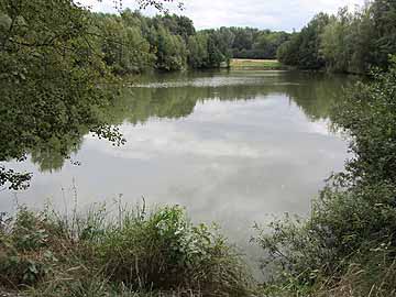 Oberer Bleicheteich – Blick auf den Teich am 23.08.2014