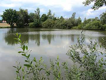 Mittlerer Bleicheteich – Blick vom Waldrand am 23.08.2014