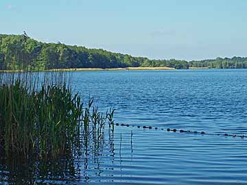 Belauer See – Badestelle Belau, Blick Richtung Süden