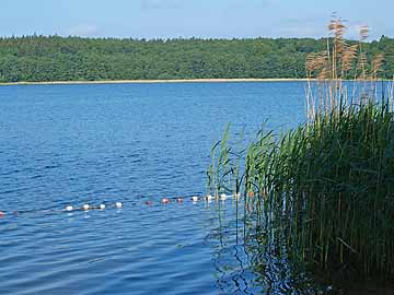 Belauer See – Badestelle Belau, Blick Richtung Norden