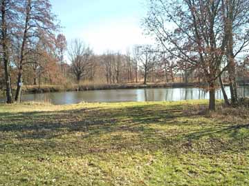 Torflöcher Nasseböhla – Aufnahme vom 1. Teich