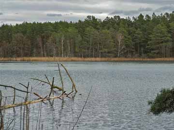 Dunkelsee – Blick Richtung Nordufer des Dunkelsees