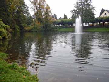 Wiembachteich – Blick vom Nordufer in den östlichen Weiherbereich