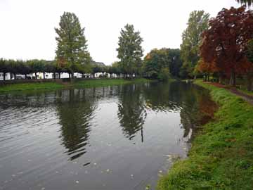 Wiembachteich – Blick vom Nordufer über den Weiher