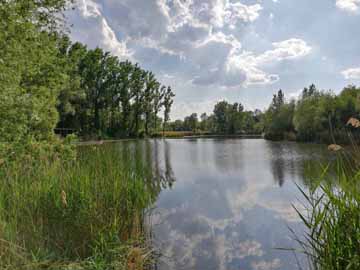 Fahrt – Fahrt im Sommer