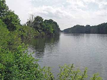 Schachtsee – Blick entlang des Ostufers