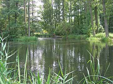 Burg-Lübbener-Kanal – Blick auf das Batzlinwehr