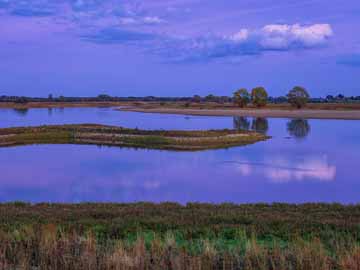 Elbe – Die Elbe bei Damnatz