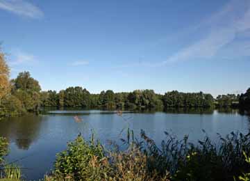 Dahlener Kiessee
