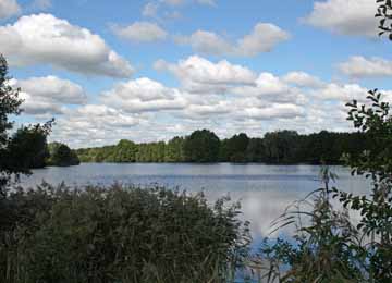 Dahlener Kiessee