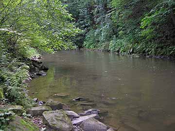 Sülz – oberhalb Brücke Immekeppel