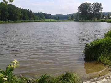 Aufhofener Weiher