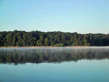 Gudower See – Blick auf das Südufer des Gudower Sees