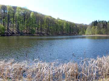 Buckowsee – Blick aus östlicher Richtung