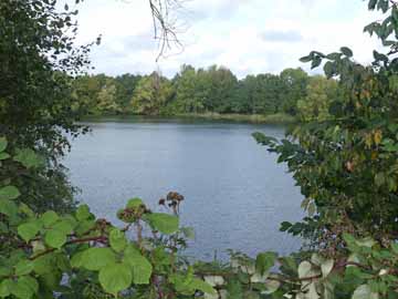 Hartigsee – Blick vom Südufer auf den See