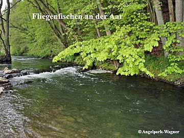 Fischzuchtbetriebe & Angelpark Wagner