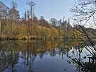 Lindower Rhin – Lindower Rhin im November 2011