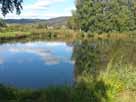 Angelteich 1 Reichenschwand – Angeln an der Westseite des Angelteichs