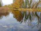 Rhin – oberhalb des Wehrs, Blick Richtung Norden