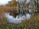 Rhin – Flachwasserbereich oberhalb des Wehrs