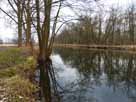 Rhin – oberhalb Motorsportclub, Blick flussaufwärts