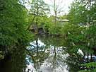 Müritz-Havel-Wasserstraße (MHW) – kleines Nebenfließ der MHW mit Wehranlage