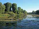 Untere Zündorfer Groov (Zündorf) – Blick vom südwestl. Damm