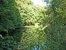 Teichanlage Sülzbachstraße (Altenrath) – Blick vom Südufer auf den großen Weiher