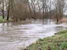 Leine – die Leine bei leichtem Hochwasser