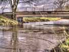 Leine – die Leine bei leichtem Hochwasser