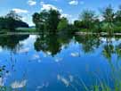 Frechmühler Weiher