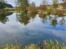 Frechmühler Weiher