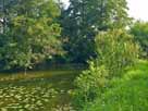 Frechmühler Weiher