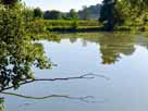 Frechmühler Weiher – Aufnahme Höhe Überlauf im Juli 2022