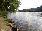 Deininger Weiher – Blick über den Weiher nach Süden