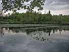 Hardtweiher – Blick vom Ostufer
