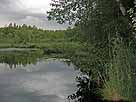Hardtweiher – nördliches Weiherende