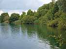 Baggersee Möllenbronn – stark bewachsenes Westufer