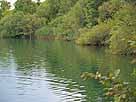 Baggersee Möllenbronn – naturnahe Uferstruktur am Westufer