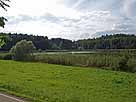 Olsenweiher – Blick von der Landstraße